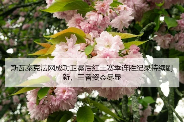 si-wa-tai-ke-fa-wang-cheng-gong-wei-mian-hou-hong-tu-sai-ji-lian-sheng-ji-lu-chi-xu-shua-xin-wang-zhe-zi-tai-jin-xian-2-166.jpg